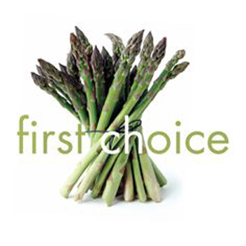 First Choice Logo