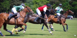 Hospitality Action Polo Image
