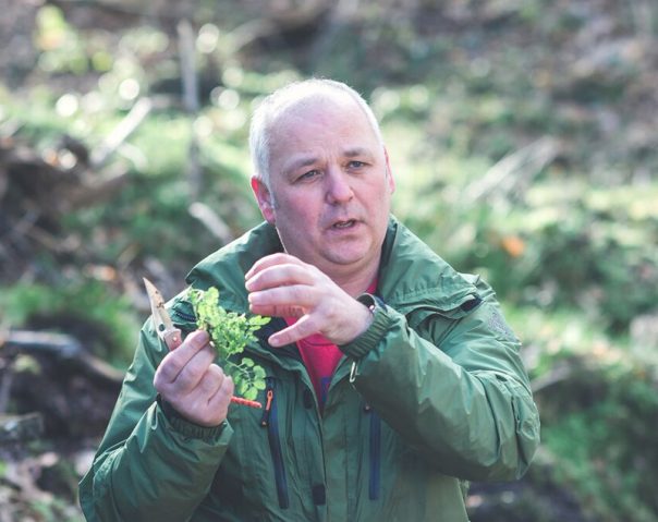 David Harrison Forager 1